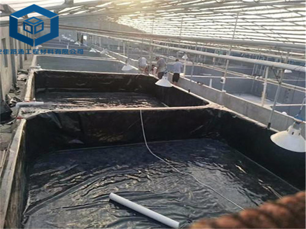 �ؑc�~�����BĤ��(y��ng)�����ؑc����С���r�B(y��ng)ֳ