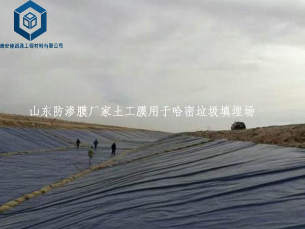 ɽ�|���BĤ�S������Ĥ���ڹ������������